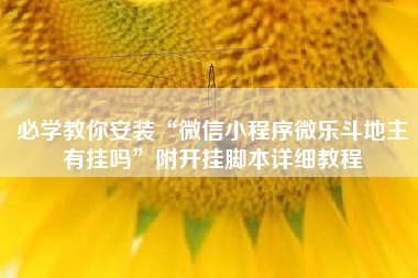 必学教你安装“微信小程序微乐斗地主有挂吗”附开挂脚本详细教程