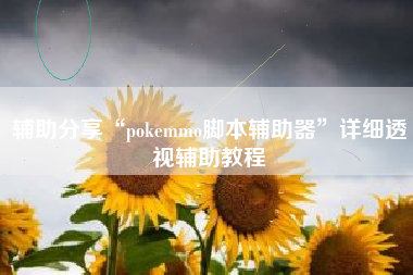辅助分享“pokemmo脚本辅助器	”详细透视辅助教程