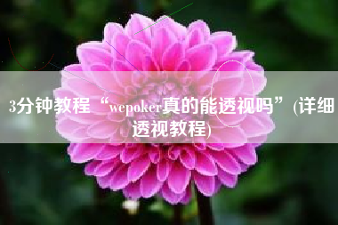 3分钟教程“wepoker真的能透视吗”(详细透视教程)