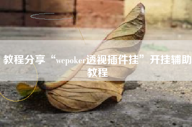 教程分享“wepoker透视插件挂	”开挂辅助教程