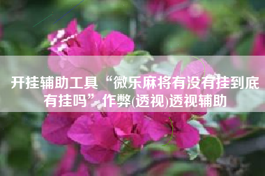 开挂辅助工具“微乐麻将有没有挂到底有挂吗	”作弊(透视)透视辅助