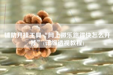 辅助开挂工具“网上微乐跑得快怎么开挂”(详细透视教程)