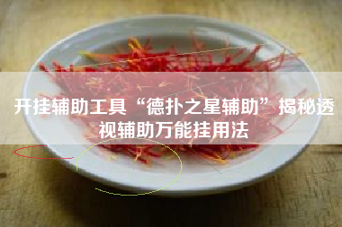 开挂辅助工具“德扑之星辅助	”揭秘透视辅助万能挂用法