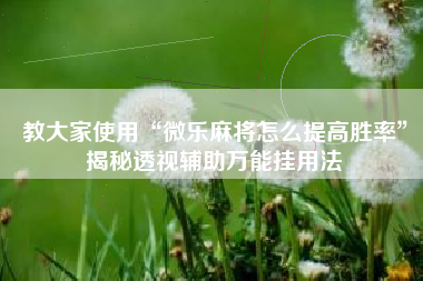 教大家使用“微乐麻将怎么提高胜率”揭秘透视辅助万能挂用法