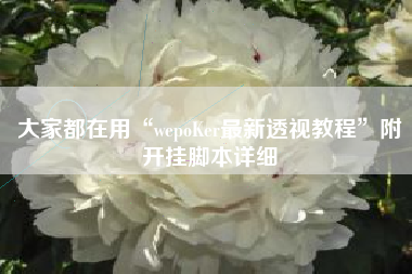 大家都在用“wepoKer最新透视教程”附开挂脚本详细