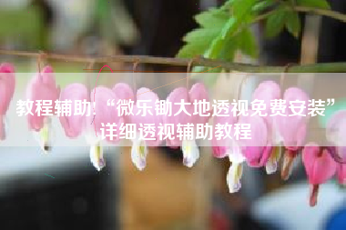 教程辅助!“微乐锄大地透视免费安装”详细透视辅助教程