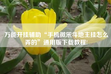 万能开挂辅助“手机微乐斗地主挂怎么弄的”通用版下载教程!