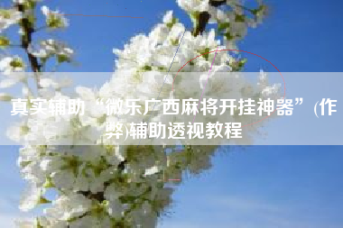 真实辅助“微乐广西麻将开挂神器”(作弊)辅助透视教程