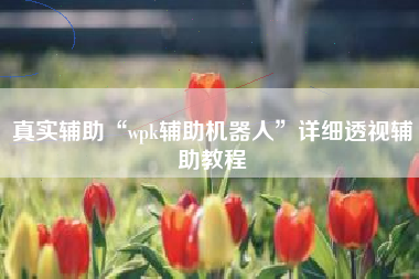 真实辅助“wpk辅助机器人”详细透视辅助教程