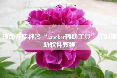 辅助开挂神器“aapoker辅助工具	”详细辅助软件教程