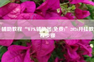 辅助教程“WPK辅助器(免费)”2026开挂教程步骤