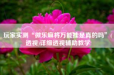 玩家实测“微乐麻将万能挂是真的吗”(透视)详细透视辅助教学