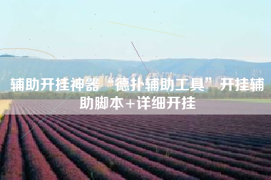 辅助开挂神器“德扑辅助工具	”开挂辅助脚本+详细开挂