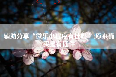 辅助分享“微乐小程序有挂吗	”(原来确实是有插件