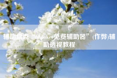 辅助盘点“hhpoker免费辅助器	”(作弊)辅助透视教程