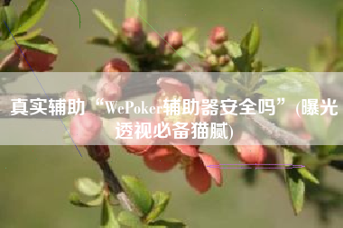 真实辅助“WePoker辅助器安全吗”(曝光透视必备猫腻)