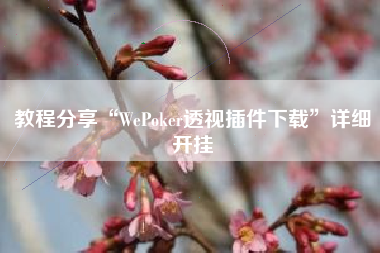教程分享“WePoker透视插件下载”详细开挂