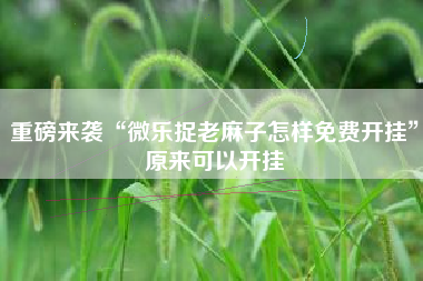 重磅来袭“微乐捉老麻子怎样免费开挂	”原来可以开挂