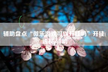 辅助盘点“微乐游戏可以开挂吗	”开挂(透视)辅助