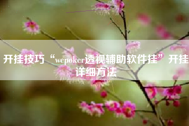 开挂技巧“wepoker透视辅助软件挂”开挂详细方法