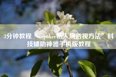 3分钟教程“wepoker私人局透视方法	”科技辅助神器手机版教程