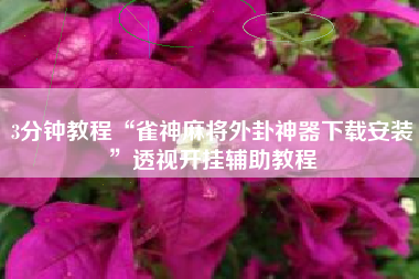 3分钟教程“雀神麻将外卦神器下载安装	”透视开挂辅助教程