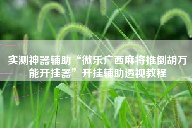 实测神器辅助“微乐广西麻将推倒胡万能开挂器”开挂辅助透视教程