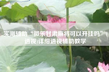 实测辅助“微乐甘肃麻将可以开挂吗	”(透视)详细透视辅助教学