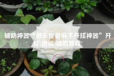 辅助神器“微乐捉老麻子开挂神器”开挂(透视)辅助教程!