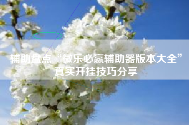 辅助盘点“微乐必赢辅助器版本大全”真实开挂技巧分享