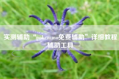 实测辅助“pokemmo免费辅助	”详细教程辅助工具
