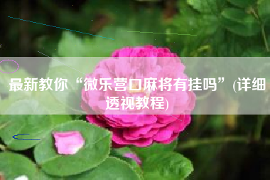 最新教你“微乐营口麻将有挂吗”(详细透视教程)