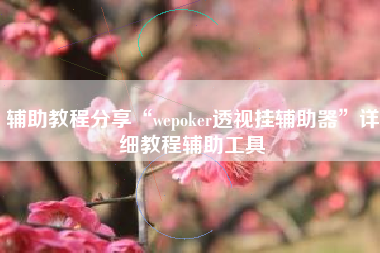 辅助教程分享“wepoker透视挂辅助器”详细教程辅助工具