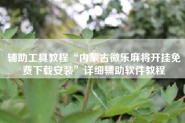 辅助工具教程“内蒙古微乐麻将开挂免费下载安装”详细辅助软件教程