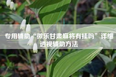 专用辅助“微乐甘肃麻将有挂吗”详细透视辅助方法