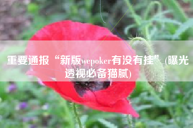 重要通报“新版wepoker有没有挂	”(曝光透视必备猫腻)