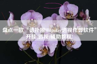 盘点一款“德扑圈HHpoker透视作弊软件	”开挂(透视)辅助教程!