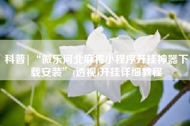 科普|“微乐河北麻将小程序开挂神器下载安装”(透视)开挂详细教程