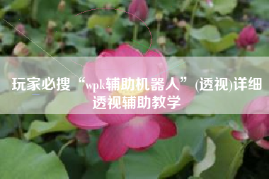 玩家必搜“wpk辅助机器人	”(透视)详细透视辅助教学