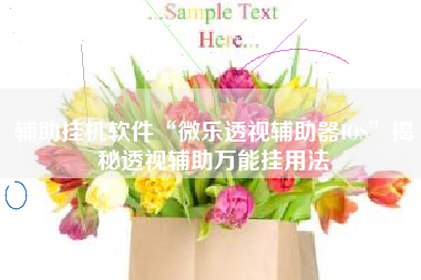 辅助挂机软件“微乐透视辅助器IOS”揭秘透视辅助万能挂用法