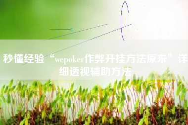 秒懂经验“wepoker作弊开挂方法原来”详细透视辅助方法