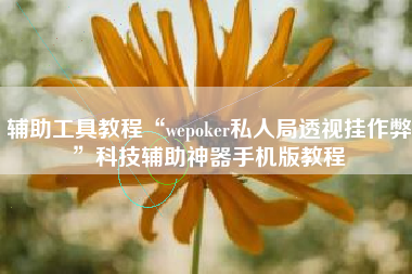 辅助工具教程“wepoker私人局透视挂作弊”科技辅助神器手机版教程