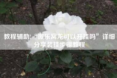 教程辅助!“微乐窝龙可以开挂吗”详细分享装挂步骤教程