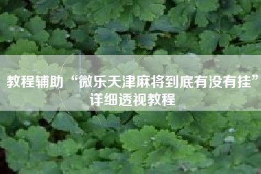 教程辅助“微乐天津麻将到底有没有挂”详细透视教程