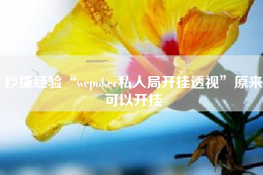 秒懂经验“wepoker私人局开挂透视”原来可以开挂