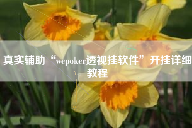真实辅助“wepoker透视挂软件”开挂详细教程
