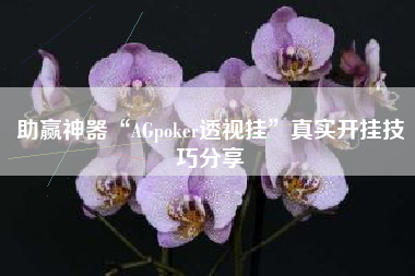 助赢神器“AGpoker透视挂”真实开挂技巧分享