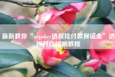 最新教你“wepoker透视挂付款保证金	”透视开挂辅助教程