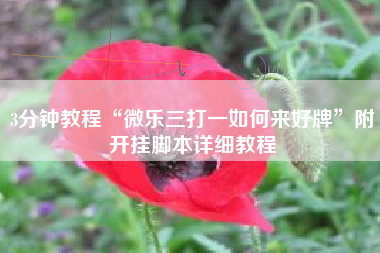 3分钟教程“微乐三打一如何来好牌	”附开挂脚本详细教程