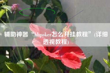 辅助神器“hhpoker怎么开挂教程”(详细透视教程)